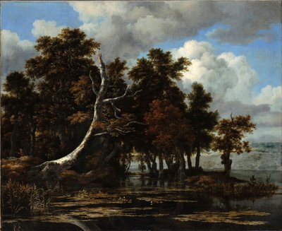 ""Tammet järvellä lumpeilla" Jacob Isaacksz van Ruisdaelin maalaus (1628/29-1682) Öljy kankaalle Koko 116,6x142 cm Staatliche Museen, Berliini tekijältä Jacob van Ruisdael
