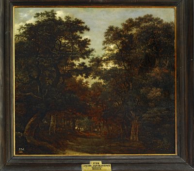 Forest ... tekijältä Jacob Isaaksz. or Isaacksz. van Ruisdael