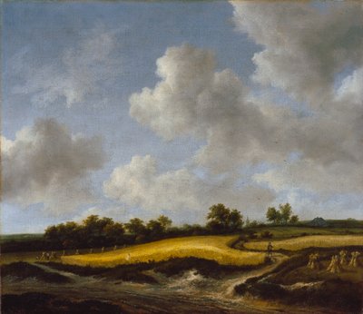 Maisema vehnäpellolla, noin 1660 tekijältä Jacob van Ruisdael