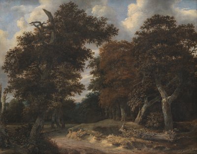 Tie tammimetsän läpi tekijältä Jacob van Ruisdael