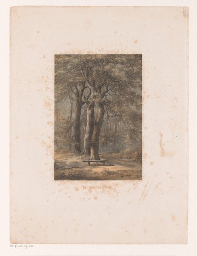 Jacoba huvimaja Jakoba-huvimaja (otsikko esineessä) tekijältä Jacob Jan van der Maaten