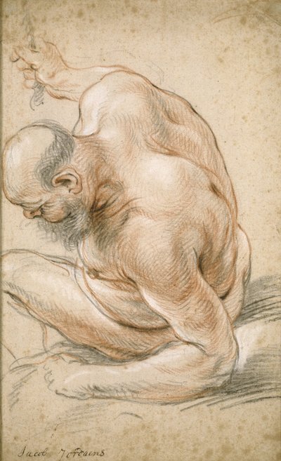 Alaston vanha mies istuu, nojaa kyynärvarteensa, kasvot vasemmalle, n. 1640 tekijältä Jacob Jordaens