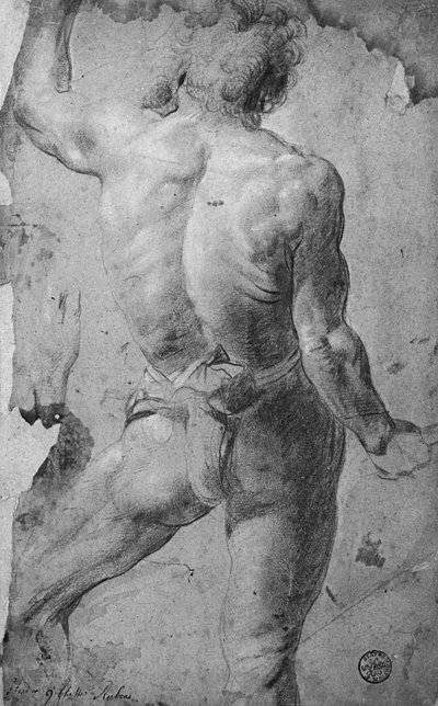 Seisova miesalaston (musta liitu ja sangviini paperilla) tekijältä Jacob Jordaens
