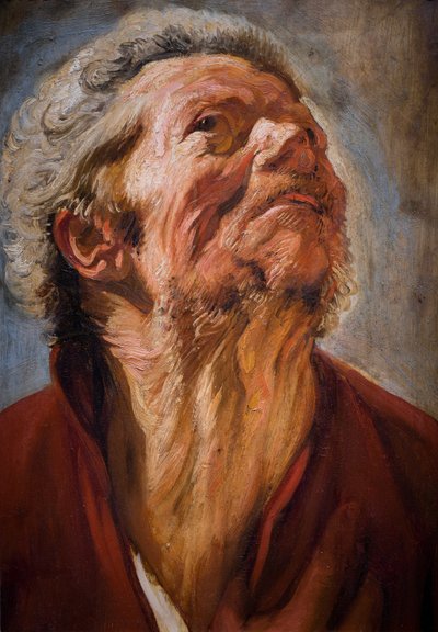 Tutkimuspäällikkö tekijältä Jacob Jordaens