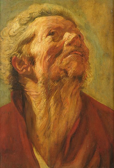 Tutkimus päästä tai apostolin päästä, n. 1620 tekijältä Jacob Jordaens