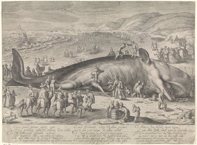 Valas jumissa Berckheyssä, 1598 tekijältä Jacob Matham