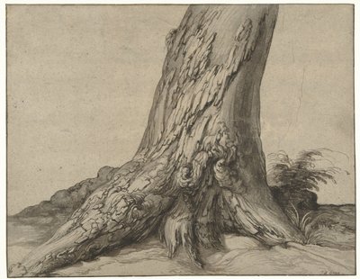 Tutkimus puunrungosta, jossa on juuret Tutkimus puun rungosta, jossa on juuret tekijältä Jacob de Gheyn (II)
