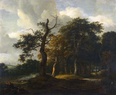 Tie tammimetsän läpi tekijältä Jacob van Ruisdael
