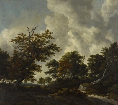 Bosky-maisema, jossa on suuri tammi ja kaksi kaatunutta puuta vesiputouksen äärellä. tekijältä Jacob van Ruisdael