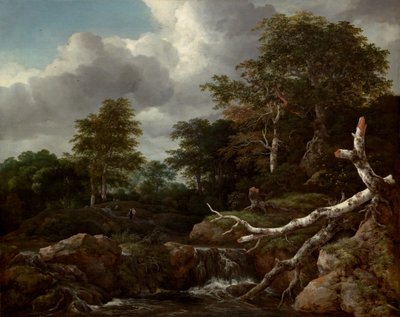 Escena del bosc, c. 1655. finlandès tekijältä Jacob van Ruisdael