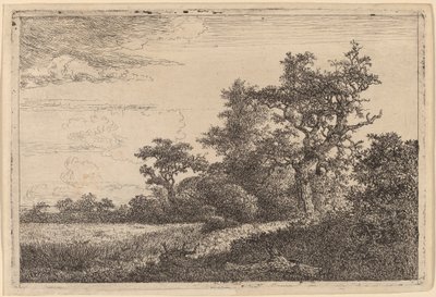 Viljapelto puun reunassa (maissipelto) tekijältä Jacob van Ruisdael