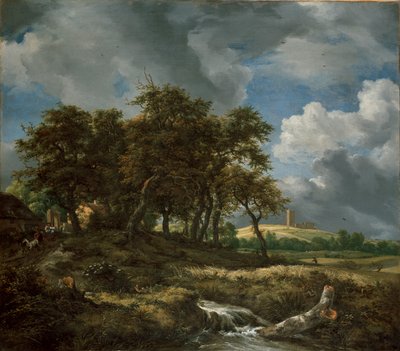 Maisema lähellä Muiderbergiä, 1650-luvun alku tekijältä Jacob van Ruisdael