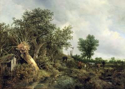 Maisema mökin kanssa, 1646 tekijältä Jacob van Ruisdael