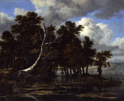 Tammet järven rannalla ja vesililjat tekijältä Jacob van Ruisdael