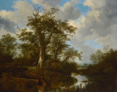 Metsäinen maisema, jossa karja ylittää puron tekijältä Jacob van Ruisdael