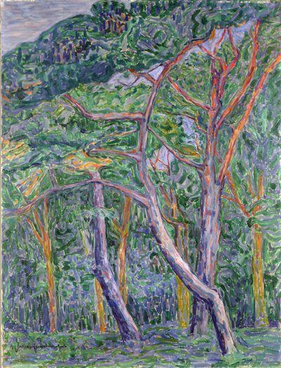 Mäntypuut tekijältä Jacoba van Heemskerck