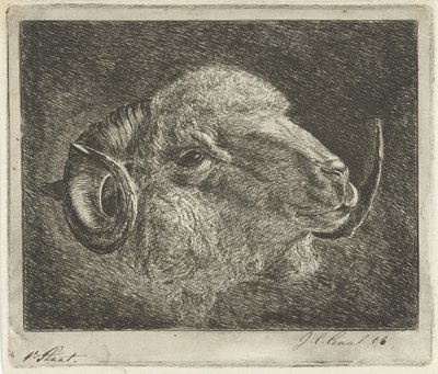 Pänän pää, jonka sarvet on käännetty taaksepäin tekijältä Jacobus Cornelis Gaal (signed by artist)
