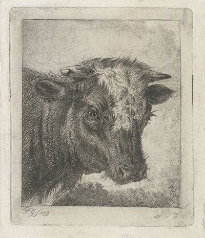 Cap de vaca amb acabat de cul blanc tekijältä Jacobus Cornelis Gaal