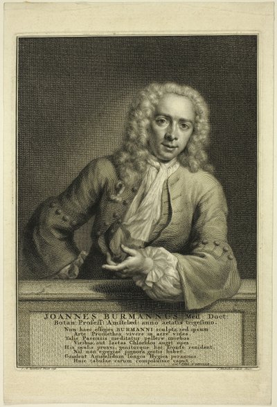 J. Burmannus tekijältä Jacobus Houbraken
