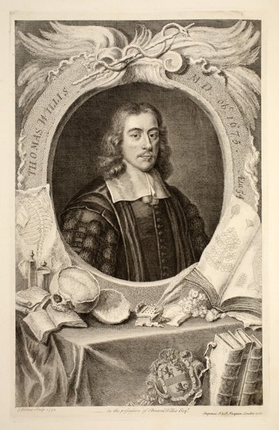 Thomas Willisin muotokuva, kuvitus teoksesta "Heads of Illustrious Persons of Great Britain", julkaisija Knapton, Lontoo 1742. tekijältä Jacobus Houbraken