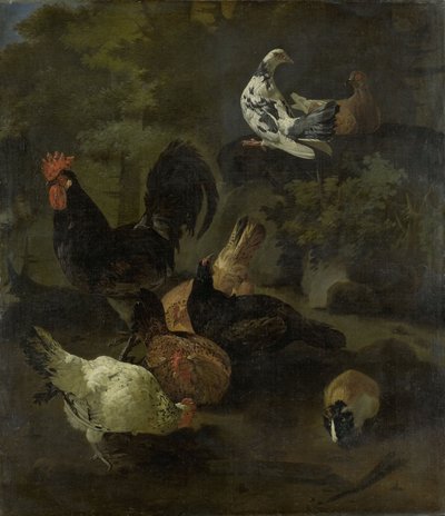 A Cock tekijältä Jacomo (1640-1705) Victors