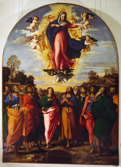 Neitsyt taivaaseenastuminen tekijältä Jacopo (c.1480 1528) Palma