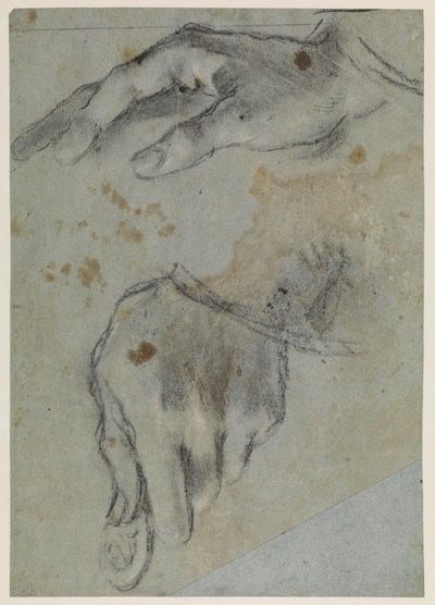 Käsitutkimukset, recto, 1500-luku tekijältä Jacopo Bassano