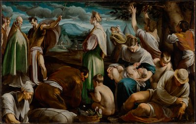 Viiriäisihme tekijältä Jacopo Bassano