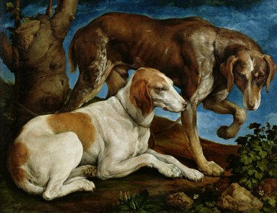 Kaksi kantoon sidottu metsästyskoiraa, n. 1548-50 tekijältä Jacopo Bassano