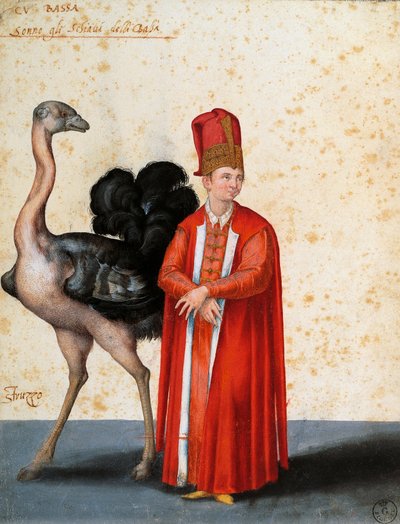 Orja strutsin kanssa, piirustus Jacopo Ligozzi (1547-1627) tekijältä Jacopo Ligozzi