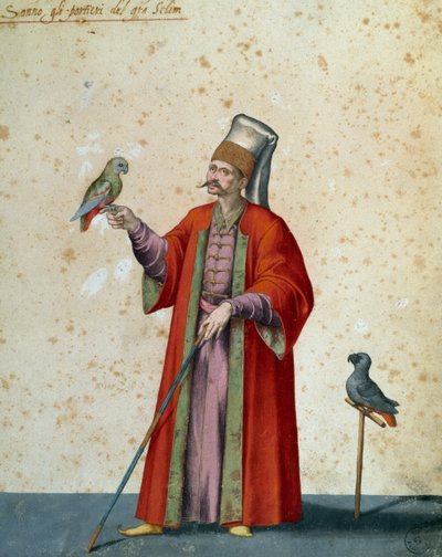 Usher suuri selimiin papukaijoilla, piirustus Jacopo Ligozzi (1547-1627) tekijältä Jacopo Ligozzi