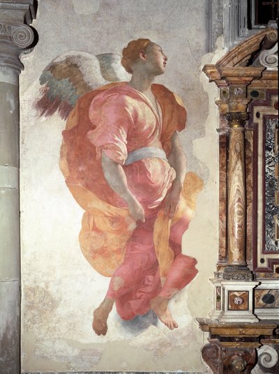 Ilmoitus. Yksityiskohta enkelistä - fresko tekijältä Jacopo Pontormo