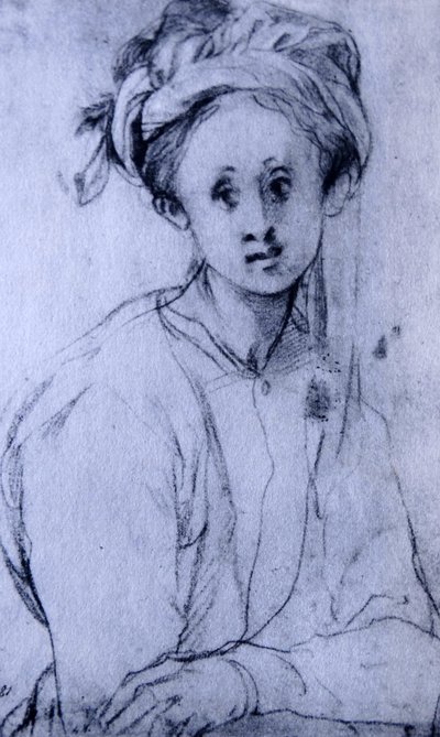 Pontormon liitupiirustus "Nuoren tytön tutkimus". tekijältä Jacopo Pontormo