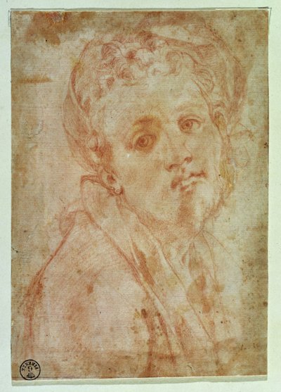 Omakuva (punainen liitu paperille) tekijältä Jacopo Pontormo