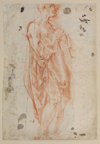 Opiskelu Saint Jeromelle tekijältä Jacopo Pontormo