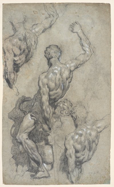 Michelangelon "Samson ja filistealaiset" tutkimukset n. 1575–1585 (liitu, puuhiili, guassi, paperi) tekijältä Jacopo Robusti (workshop of) Tintoretto