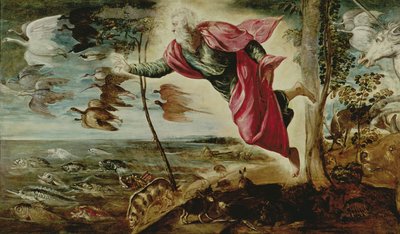 Eläinten luominen tekijältä Jacopo Robusti Tintoretto
