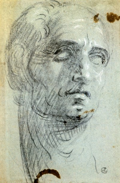 Cap masculí de Jacopo Robusti conegut com a Tintoretto (1518-1594), dibuix finlandès tekijältä Jacopo Robusti Tintoretto