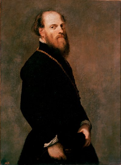 Muotokuva herrasmiehestä kultaketjussa Jacopo Robustin maalaus dit Tintoretto tekijältä Jacopo Robusti Tintoretto