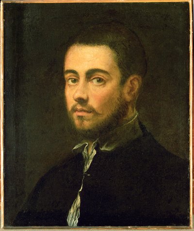 Nuori mies, jolla on parta ... (öljy kankaalle) tekijältä Jacopo Robusti Tintoretto