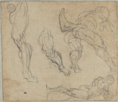 Figuurit ja jalat (käänteinen) tekijältä Jacopo Tintoretto