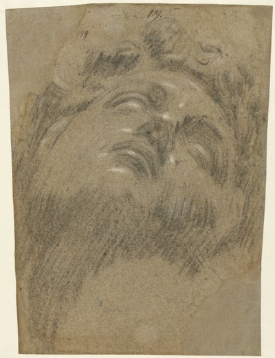 Hoofd van Giuliano dei Medici tekijältä Jacopo Tintoretto