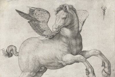 Pegasus, 1509-16 tekijältä Jacopo de Barbari