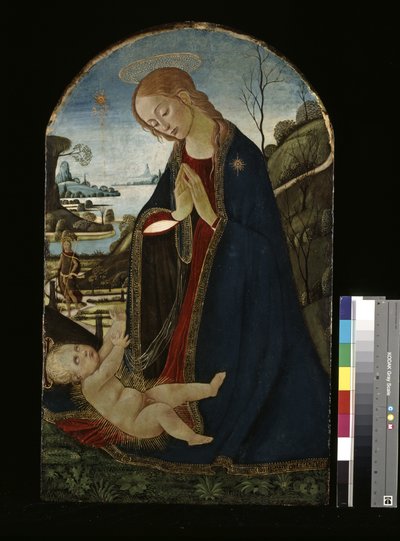 Madonna Adoring The Christ Child (öljy puulle) tekijältä Jacopo del Sellaio