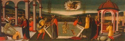 Jacopo del Sellaion Bethesdan allas (1441-1493) tekijältä Jacopo del Sellaio