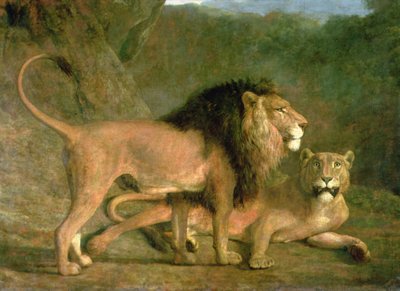 Leijona ja leijona kivilaaksossa (öljy kankaalle) tekijältä Jacques Laurent Agasse