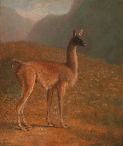 guanako tekijältä Jacques-Laurent Agasse