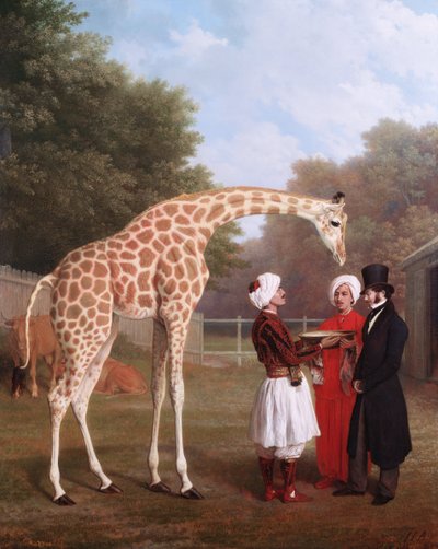 Nubian kirahvi tekijältä Jacques-Laurent Agasse
