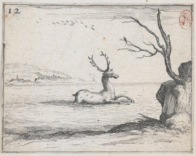 Stag in the Water - ei. 12 sarjasta tekijältä Jacques Callot