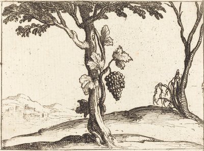 aRypäleterttu tekijältä Jacques Callot